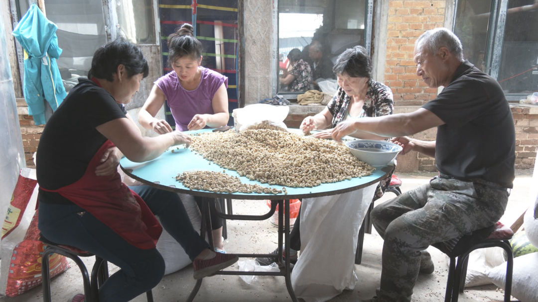 Village in NE China’s Heilongjiang shakes off poverty by developing characteristic industries