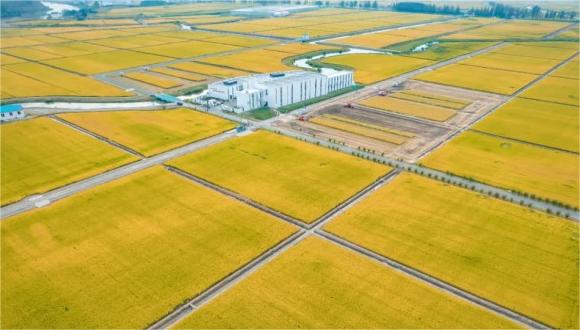 Farm without farmers: a peek into unmanned farm in E China's Jiangsu province 	 	The spring sowing season has arrived, but in the sprawling wheat fields in Lujia township, Kunshan, east China's Jiangsu province, there wasn't a farmer in sight across the vast expanse. What could be seen was only a drone hovering above the fields.