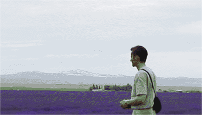  "A movable feast" in Xinjiang: A paradise of flowers and fruits         