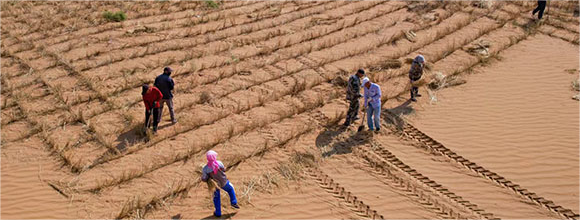 Innovative method, tool contribute to sand control in Shapotou, NW China's Ningxia