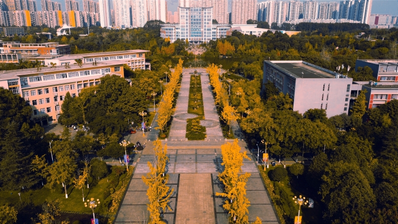 In pics: Beautiful autumn scenery of universities across China