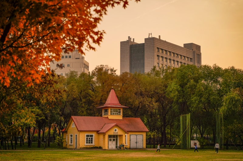 In pics: Beautiful autumn scenery of universities across China