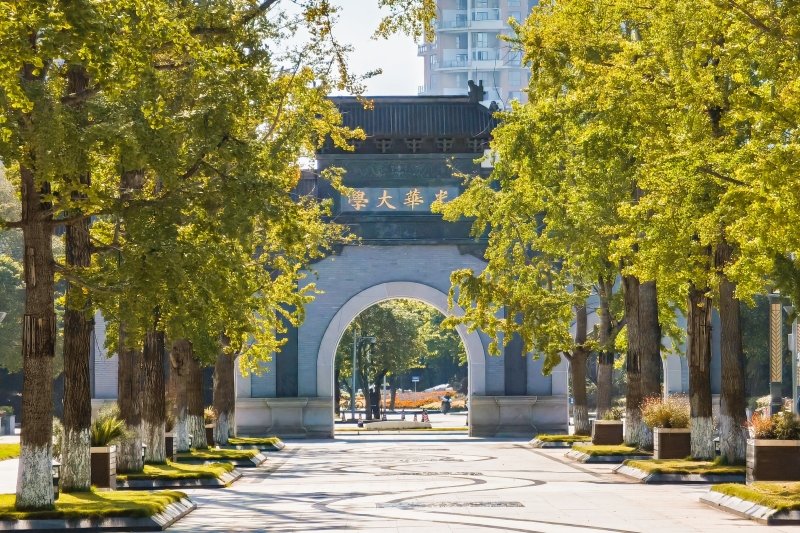 In pics: Beautiful autumn scenery of universities across China