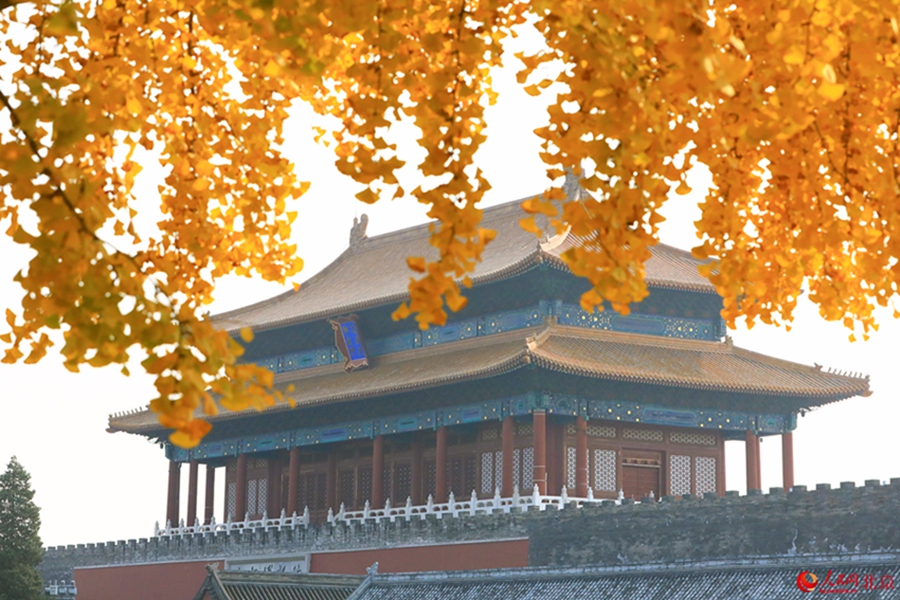 In pics: Autumn charm of Beijing