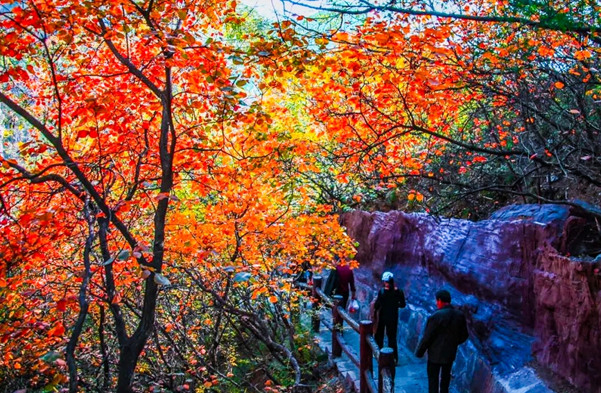 Global geopark in C China's Henan offers picturesque autumn views