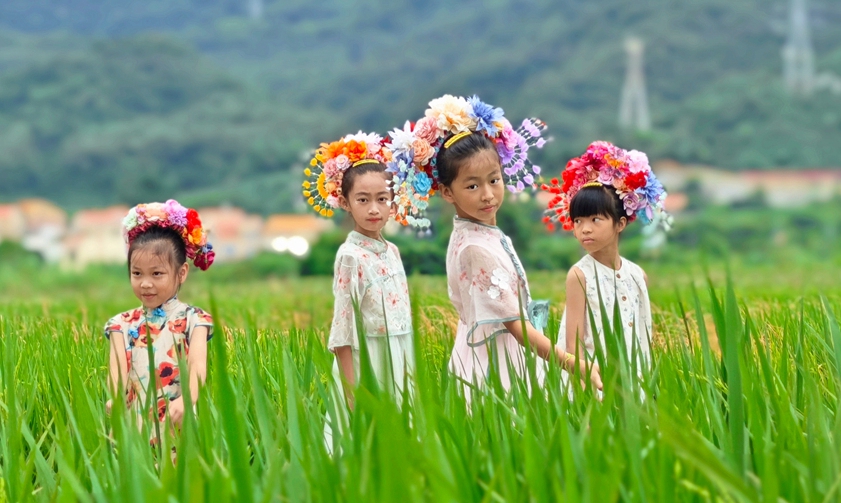 Colorful rice field creates a beautiful autumn 'palette' in SE China's Fujian