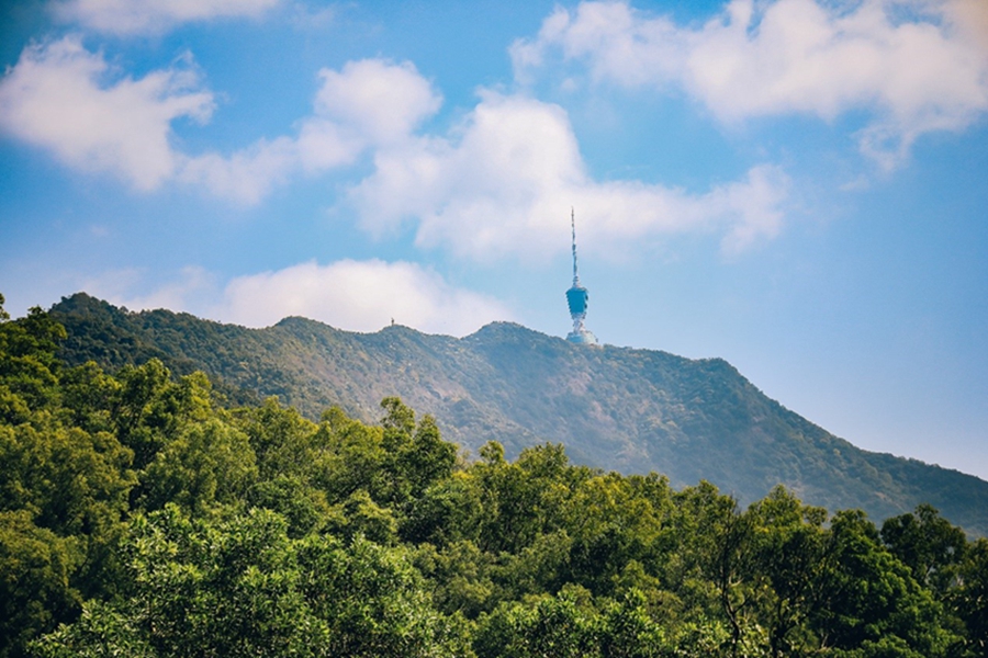 Wutong Mountain in S China's Shenzhen offers breathtaking natural and urban views