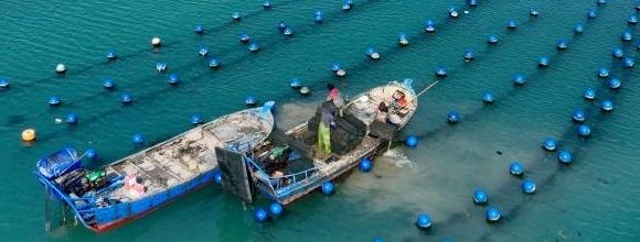 County in SE China's Fujian develops thriving fishing industry