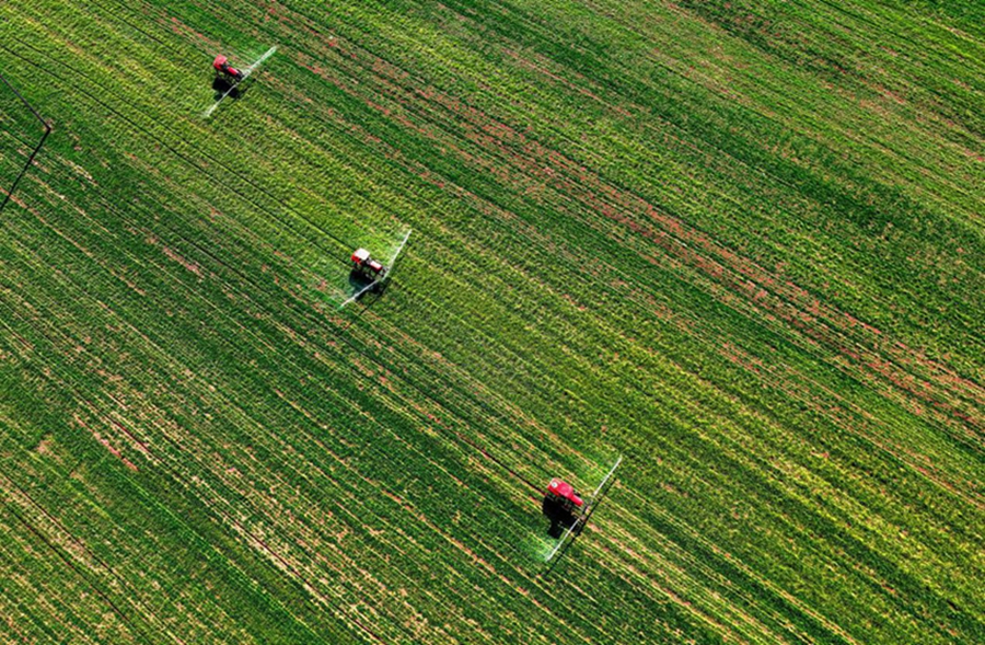 Technology empowers spring wheat management in Xi'an, NW China's Shaanxi