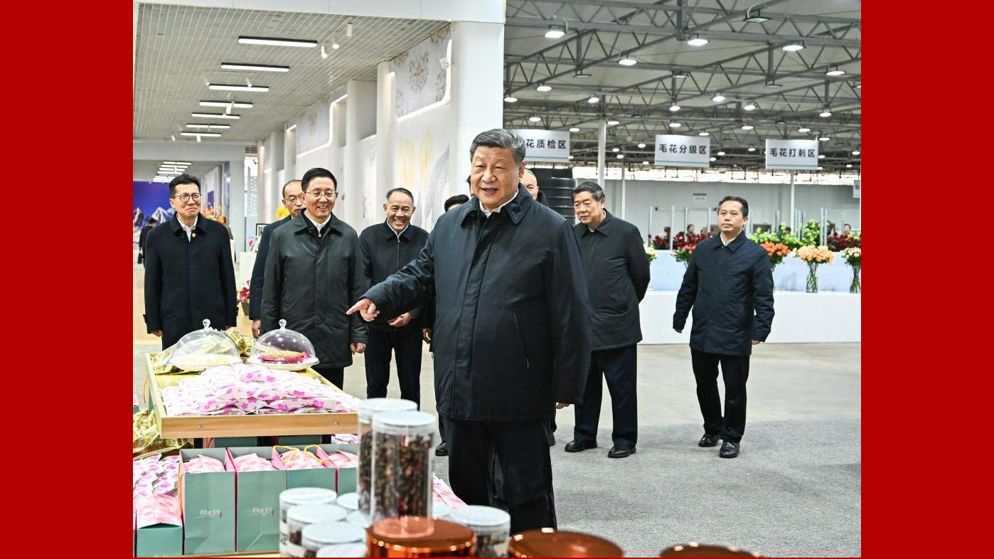 Blooming success: Xi explores Yunnan's flourishing flower industry 	 	Last week, President Xi Jinping visited a modern flower industry park in Lijiang, Yunnan Province. During his visit, he engaged with villagers and technicians, inquiring about flower varieties, market sales, and their incomes. Yunnan produced 20.6 billion fresh-cut flowers last year, making it the leading producer in the world.