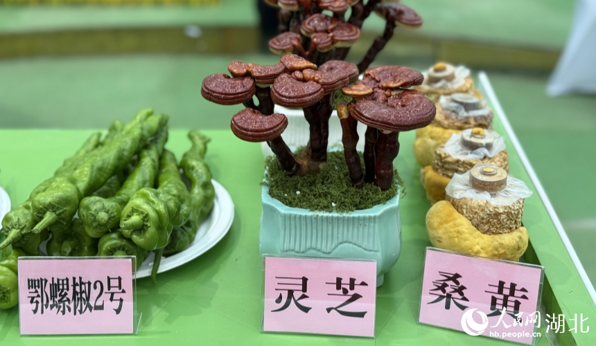 Over 3,000 agricultural innovation achievements on display in Wuhan, C China's Hubei