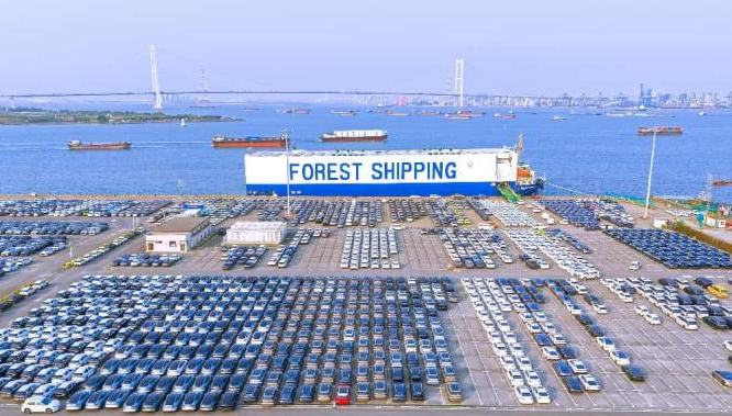 China's port economy powers ahead with strong momentum 	 	Along the Bohai Sea coast, Tianjin Port stands as a dynamic hub where the value of port-driven development continues to expand. Within the port, towering gantry cranes and docked vessels form a bustling scene. Smart control systems work in tandem with AI-powered transport robots to keep operations running smoothly, handling over 1.5 million tons of cargo every day.