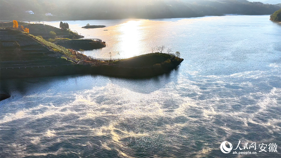 Breathtaking views of tea-themed park shrouded in morning mist in E China's Anhui