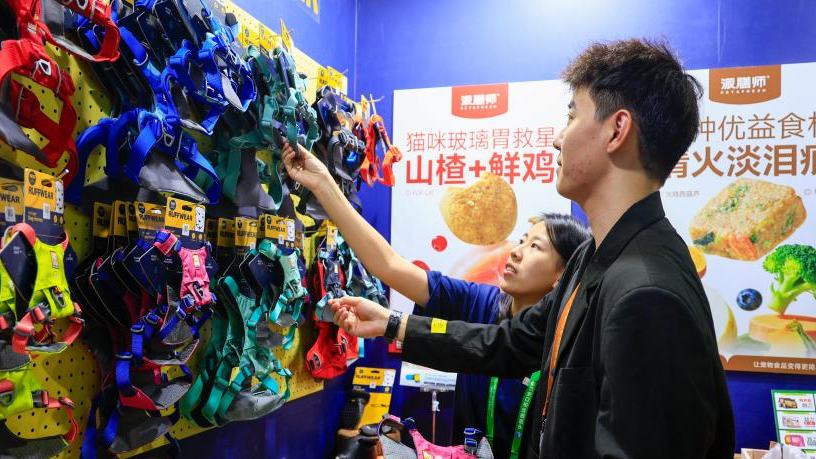 China's 2025 consumption keywords highlight fresh upgrading in super-large market