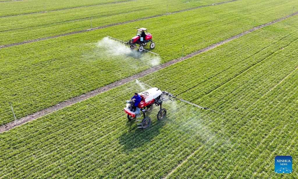 An aerial drone photo taken on Feb. 18, 2025 shows farmers operating agricultural machines to carry out field management in Qiaocheng District of Bozhou City, east China's Anhui Province. Farming activities are in full swing across China in early spring. (Photo: Xinhua)