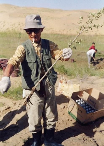 Toyama Seiei trimming a sapling