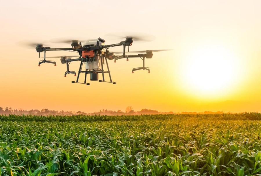 Chinese commercial drones favored by South African farmers