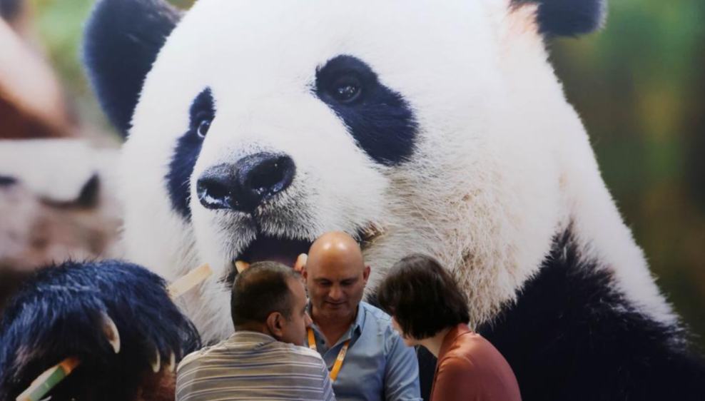 26th edition of Sign China expo opens in Shanghai 	 	People visit the 26th edition of the Sign China expo in Shanghai, east China, Sept. 17, 2025. The three-day expo on advertising industry, which kicked off at Shanghai New International Expo Centre on Wednesday, showcases products and technologies including advanced advertising production equipment, advertising materials, LED advertising lighting, and LED displays brought by approximately 800 exhibitors from home and abroad.