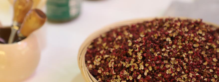 Sichuan pepper becomes major industry in NW China's Gansu