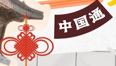 So, You're Interested in China? | Bringing your pet with you to China        