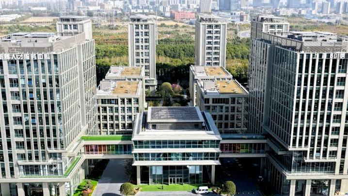 Shanghai's 6G hub: Where innovation takes shape for future