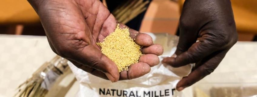 FAO-China-Uganda agriculture project proves success of South-South cooperation: officials