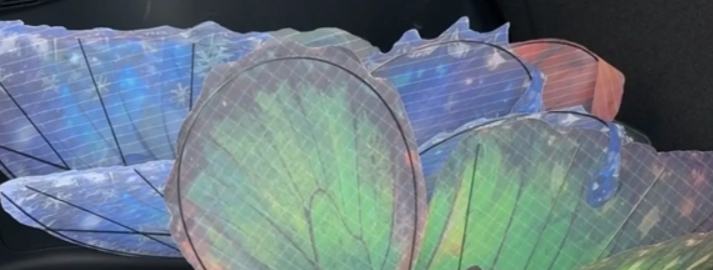 Bionic butterflies built by college students charm wedding planners in C China's Wuhan
