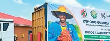 Uganda starts exporting chili peppers to China following agricultural tech cooperation