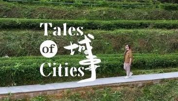 Tales of Cities | Tongren, where China's matcha capital hides in plain sight        